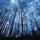 funtastic_hd